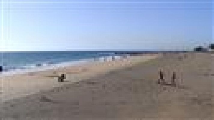 Telecanarias - El tiempo en Canarias - 16/11/2016