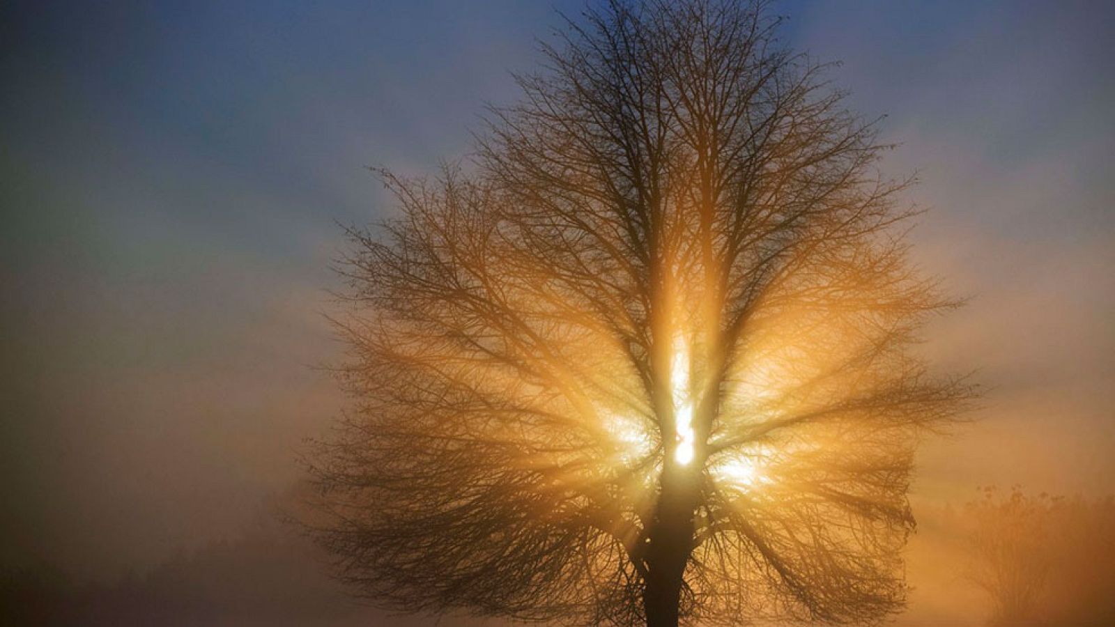La costa de Levante en alerta por oleaje y viento