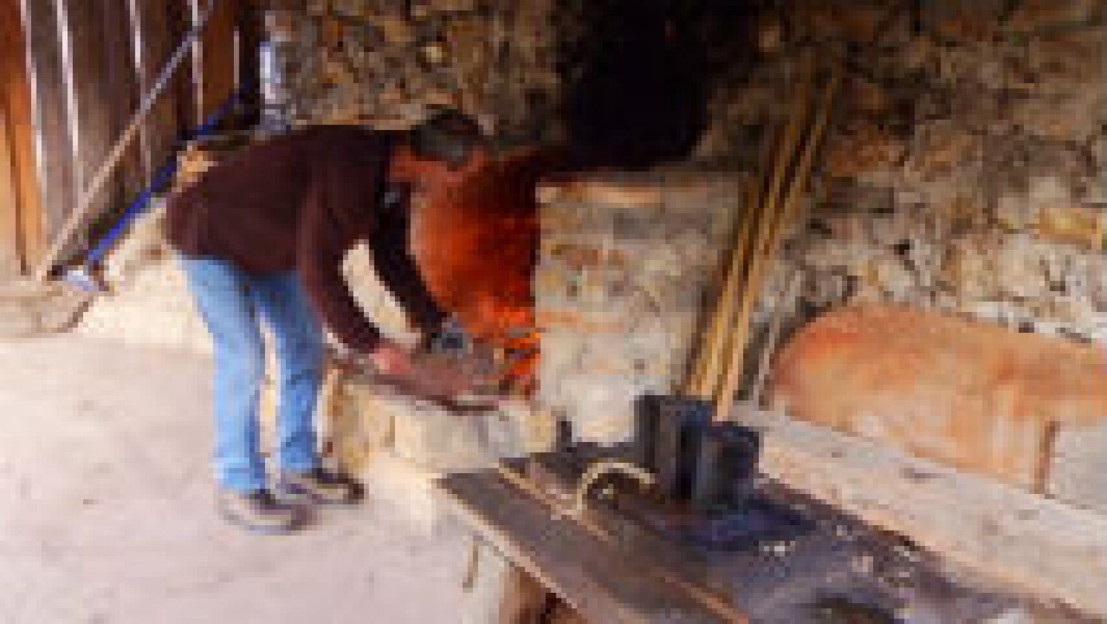 La gran escuela de la vida