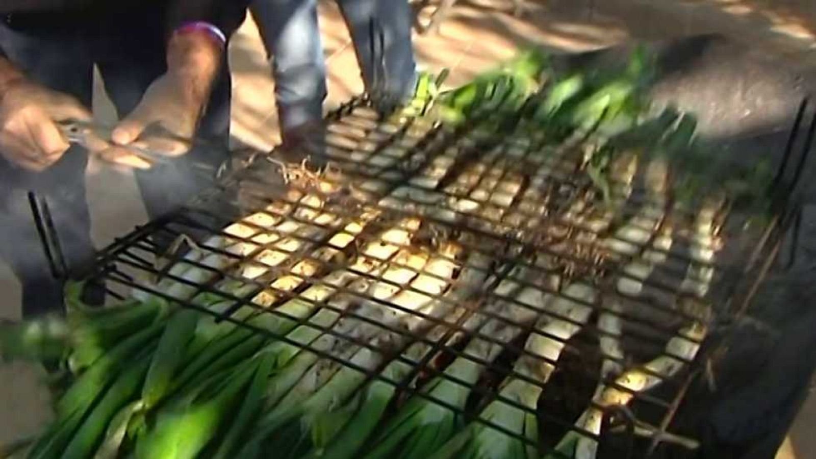 España Directo - 16/11/16 - ver ahora