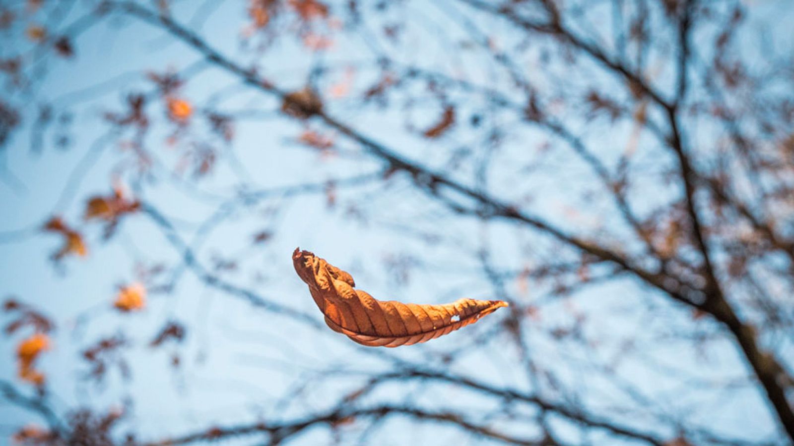 El Tiempo en la Comunidad de Madrid - 17/11/16