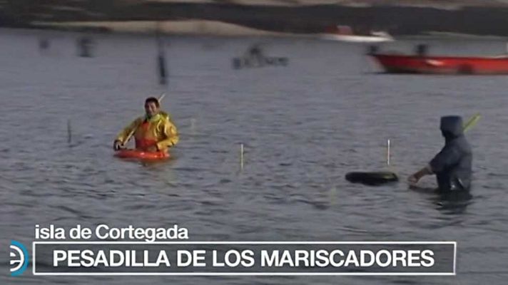 España Directo - España Directo - 17/11/16