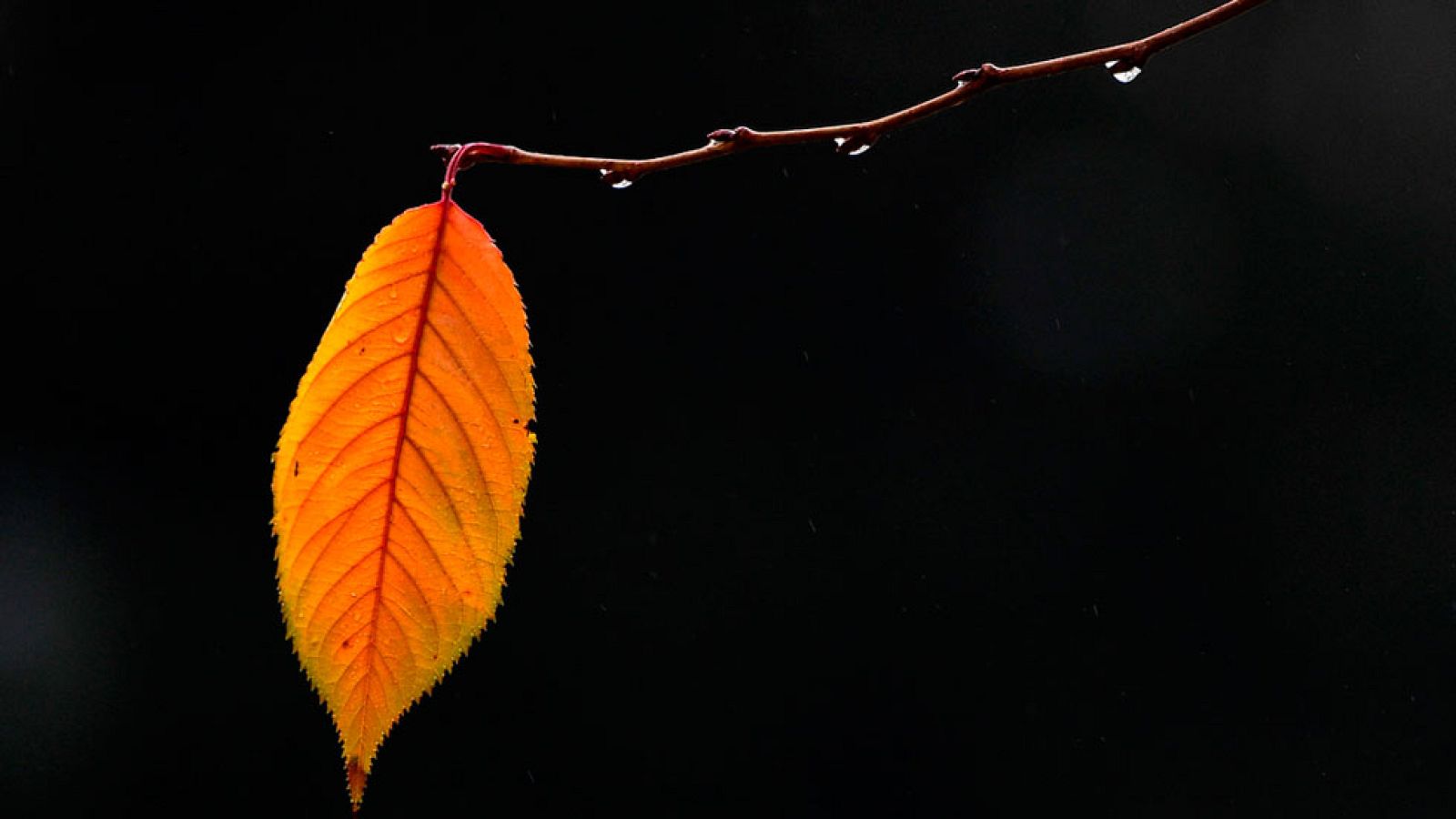 Temperaturas en descenso en la mitad noroeste peninsular
