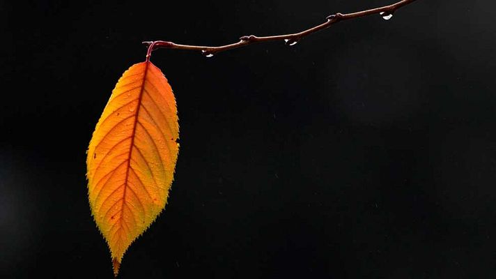 Informativo de Madrid - El Tiempo en la Comunidad de Madrid - 18/11/16