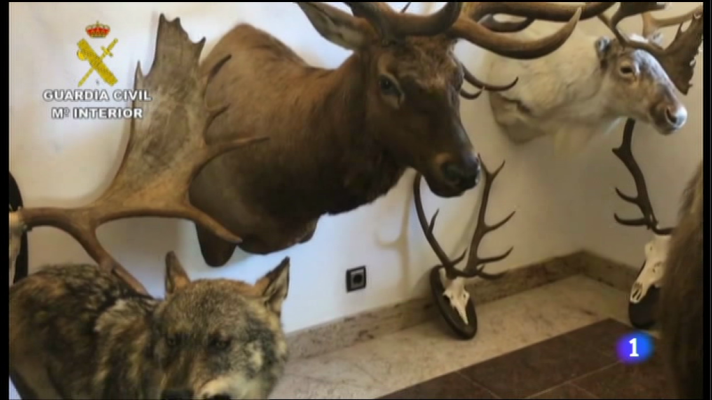 Informativo Telerioja - Informativo Telerioja 2 - 18/10/16