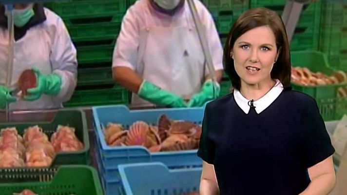 Agrosfera - Agrosfera - 19/11/16