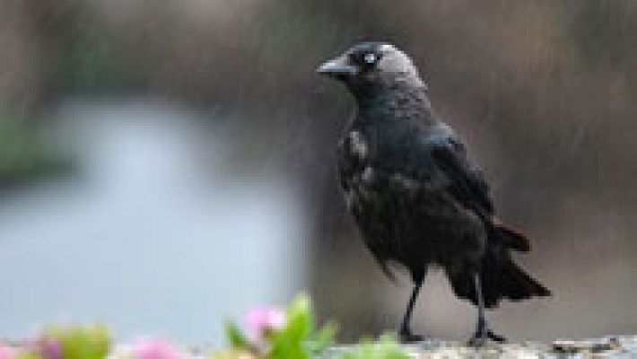 Temperaturas diurnas en descenso en el interior sur peninsular