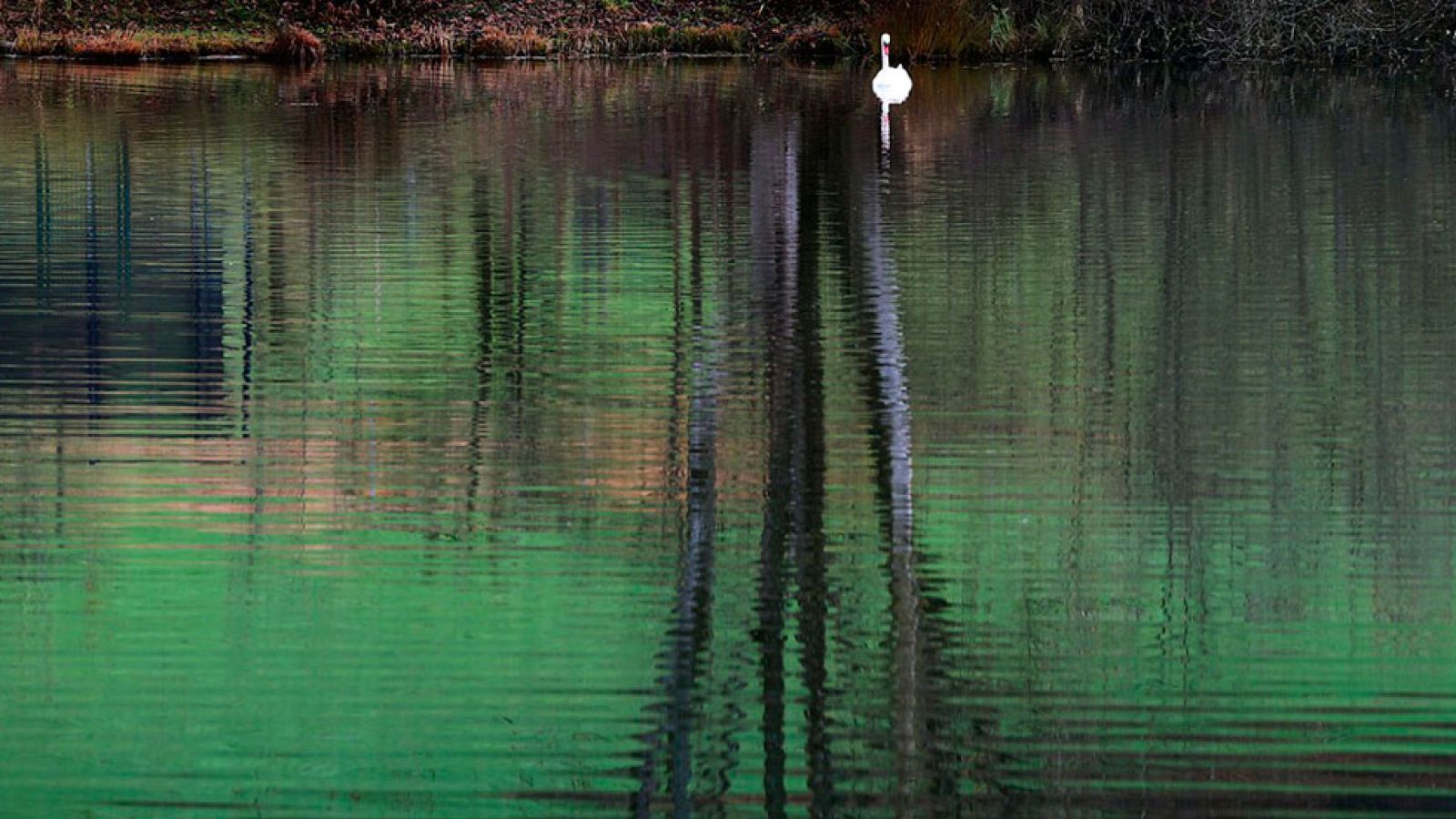 El Tiempo en la Comunidad de Madrid - 21/11/16
