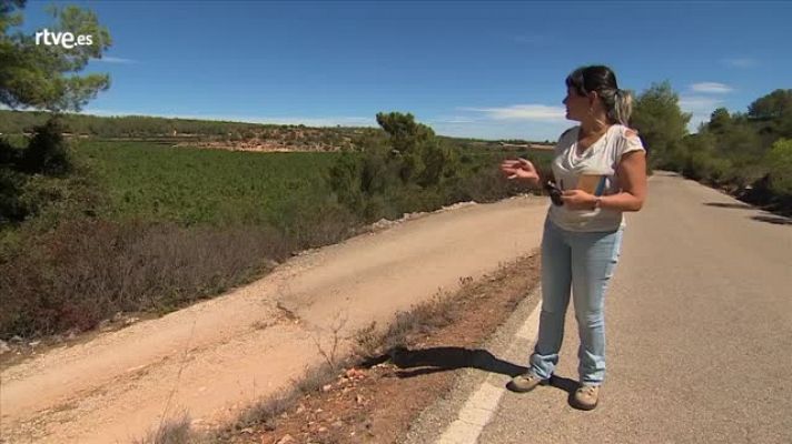 Cristina Montiel, geógrafa