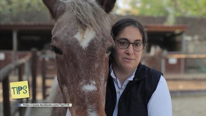 Tips - Terapia con caballos