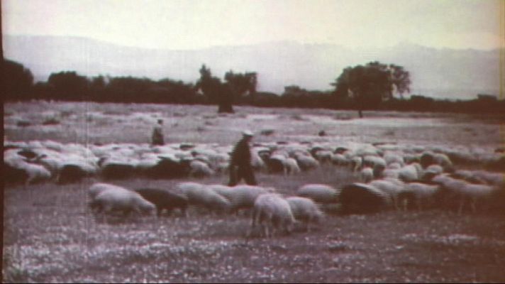 Memoria histórica "Los Yunteros de Extremadura"