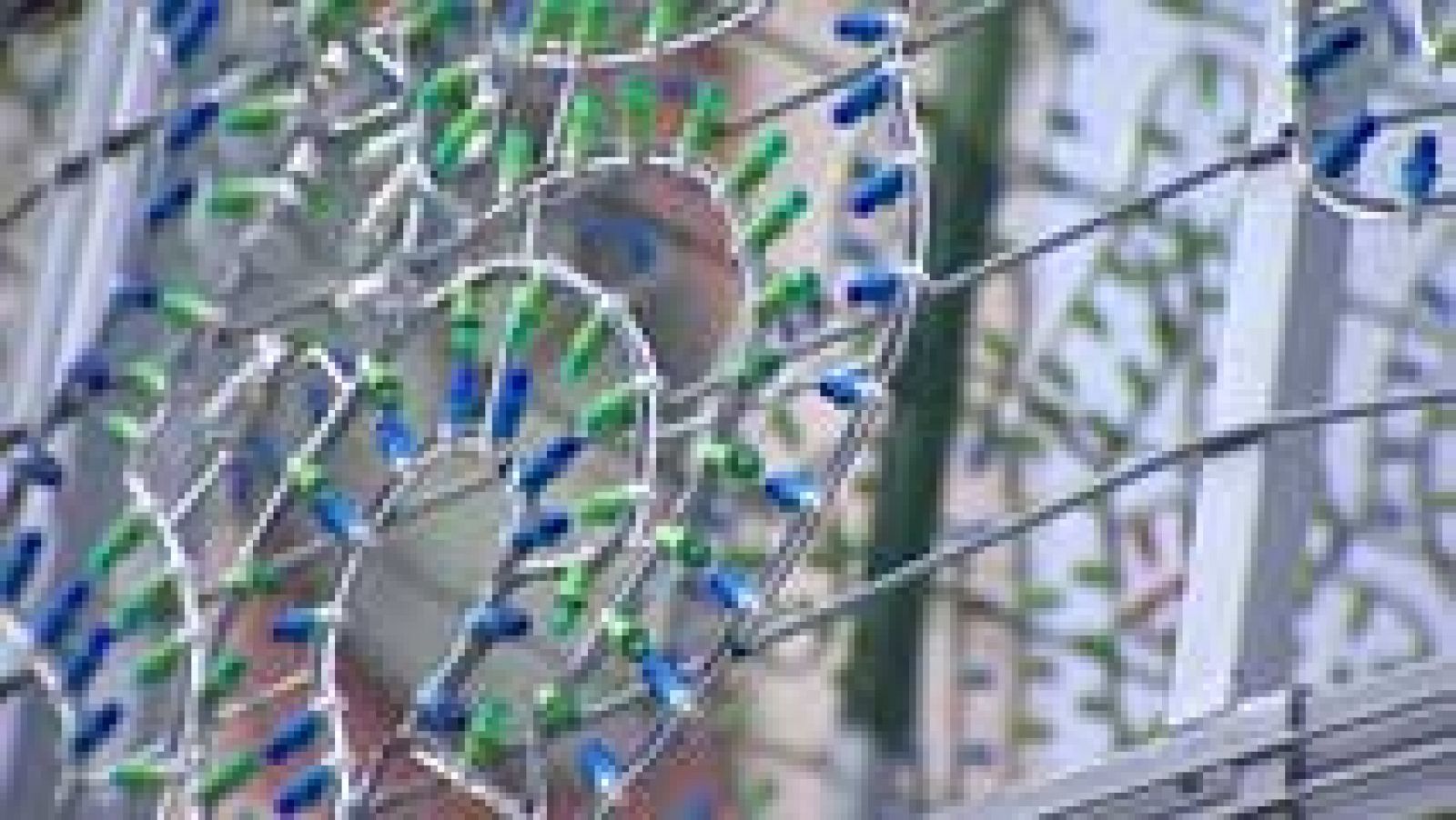 Informativo de Madrid - 24/11/16