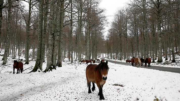 El tiempo - Lluvias fuertes en Galicia y sur de Andalucía, y nevadas en noroeste