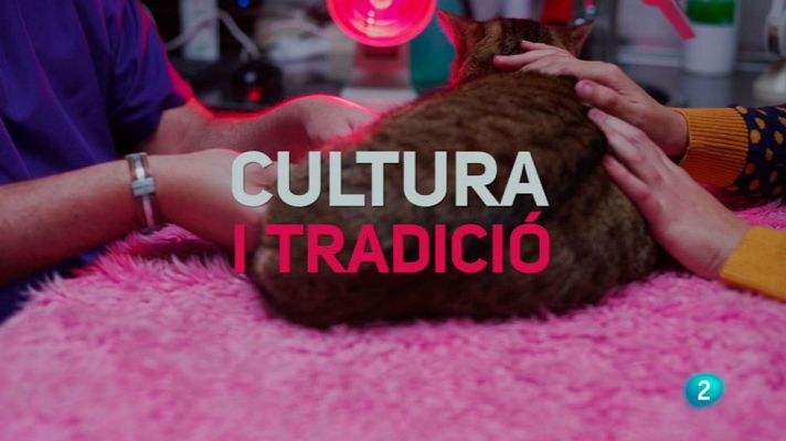 Amb identitat - La relació amb els animals