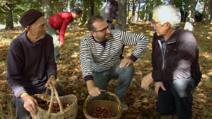 Aquí la Tierra - Nos vamos a "apañar castañas"