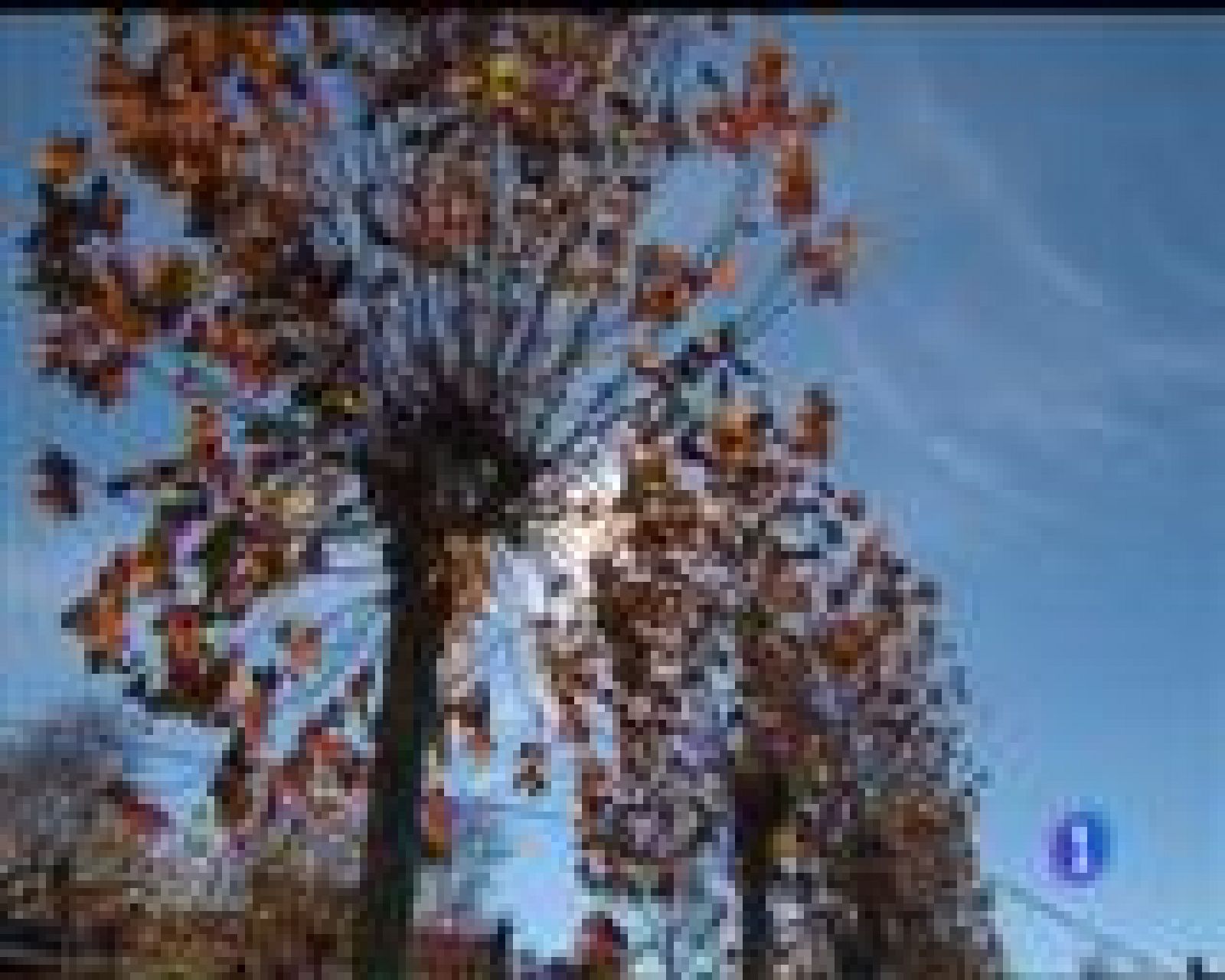 El tiempo en Asturias - 25/11/16 | Ver