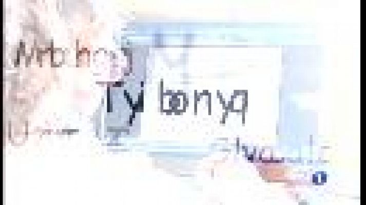 Informatiu Balear - Un de cada 10 alumnes pateix el trastorn de la dislèxia.