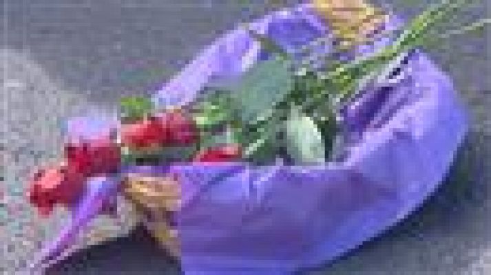 Telecanarias - Telecanarias - 25/11/2016