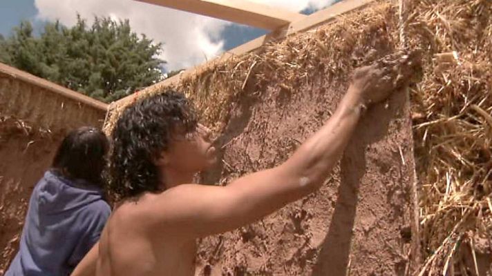 El escarabajo verde - Esta casa es un tesoro