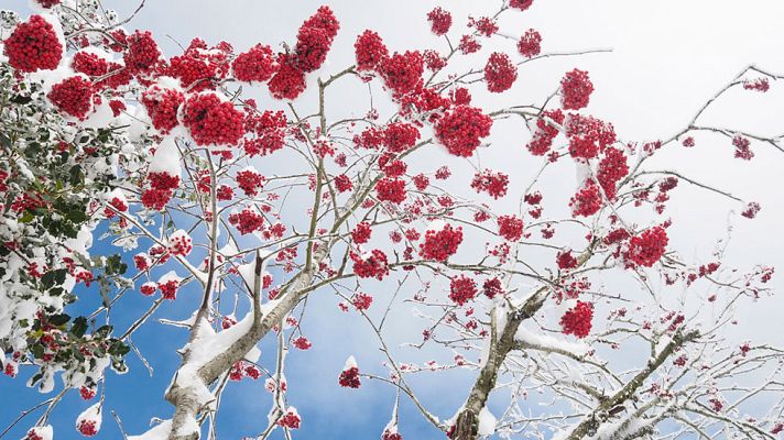 El tiempo - Lluvia intensa en Andalucía y Levante con temperaturas más suaves