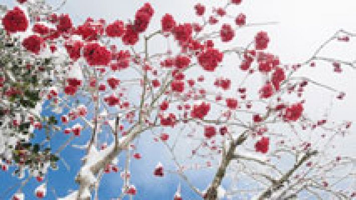 El tiempo - Lluvia intensa en Andalucía y Levante con temperaturas más suaves