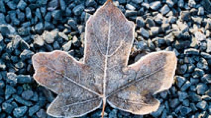 El tiempo - Lluvias en todo el este peninsular, más intensas en Valencia