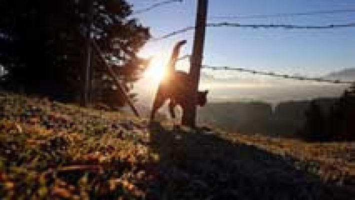 Informativo de Madrid - El Tiempo en la Comunidad de Madrid - 29/11/16