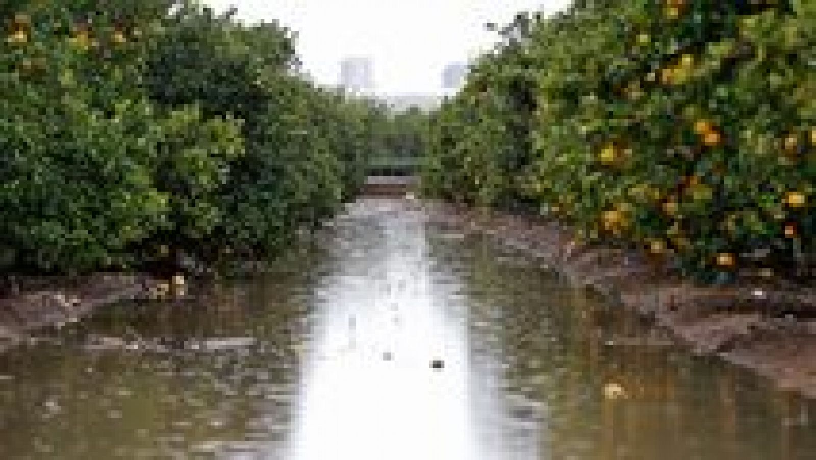 L'Informatiu - Comunitat Valenciana - 29/11/16 - ver ahora