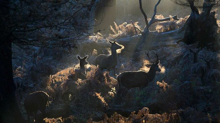 El tiempo - Lluvias fuertes en Valencia y Castellón