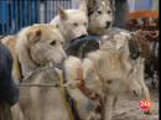  - Vuelve Pirena 2009