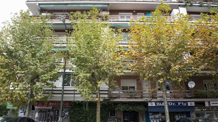 Telediario 1 - La Policía Nacional desarticula una banda de georgianos que robaban en viviendas de toda España