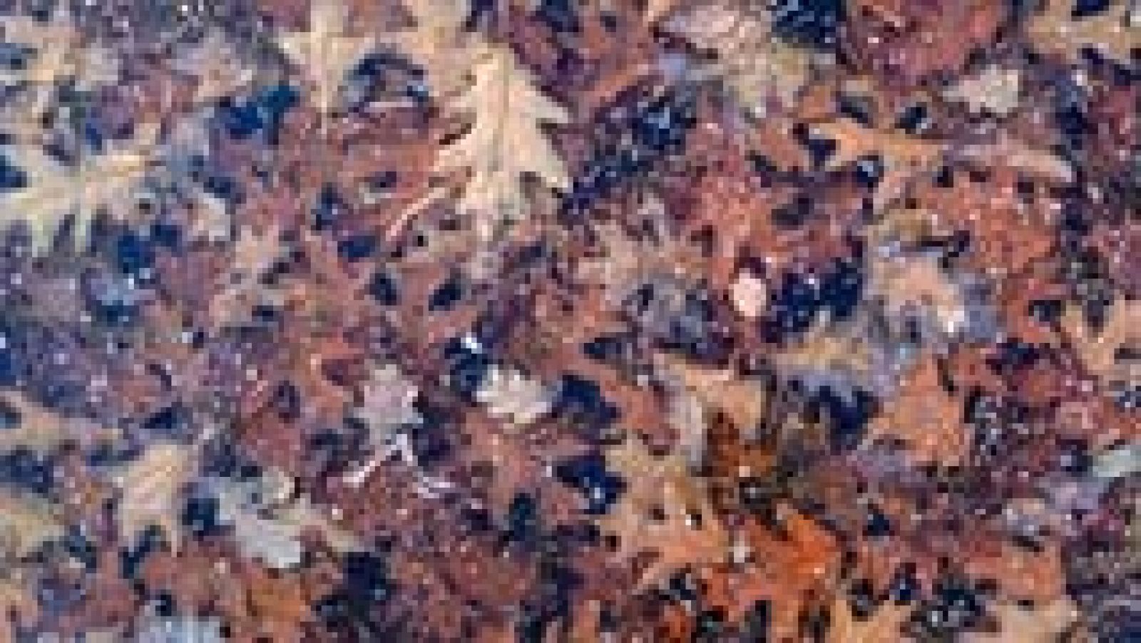 Cinco provincias del sur en riesgo por vientos y oleaje