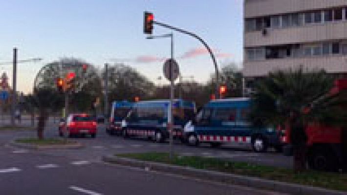 Telediario 1 - Detienen a diez personas en Barcelona por cultivar 4.000 plantas de marihuana en 16 pisos