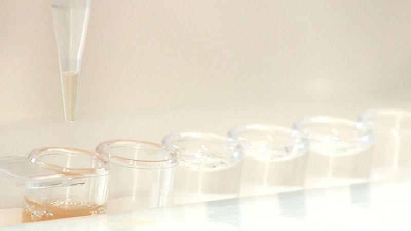 Un test genético permite predecir si la quimioterapia será efectiva