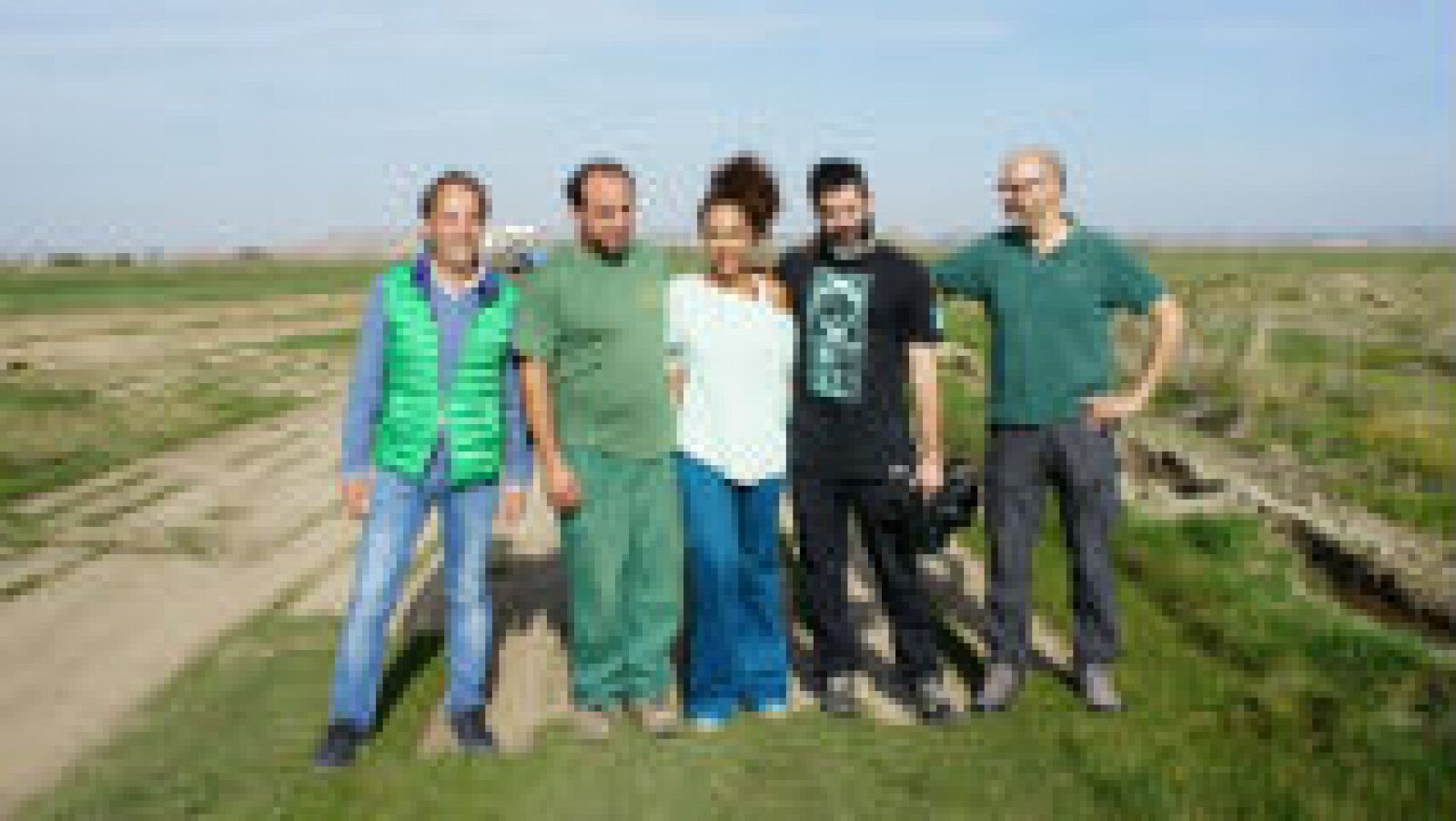 Una gran alfombra verde