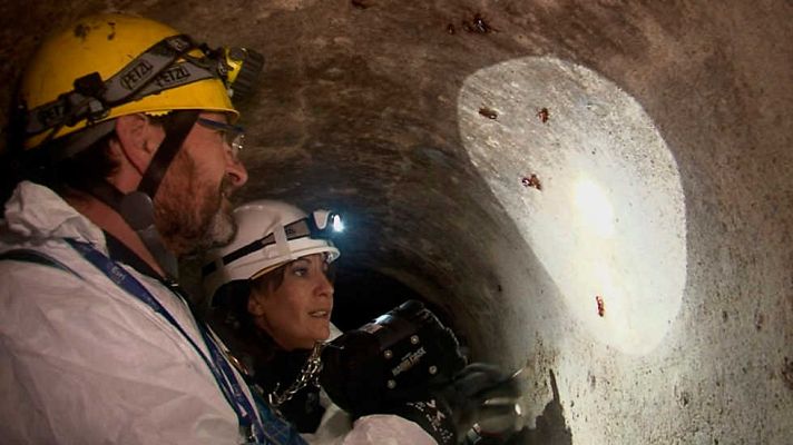 Comando Actualidad - Ahí viene la plaga