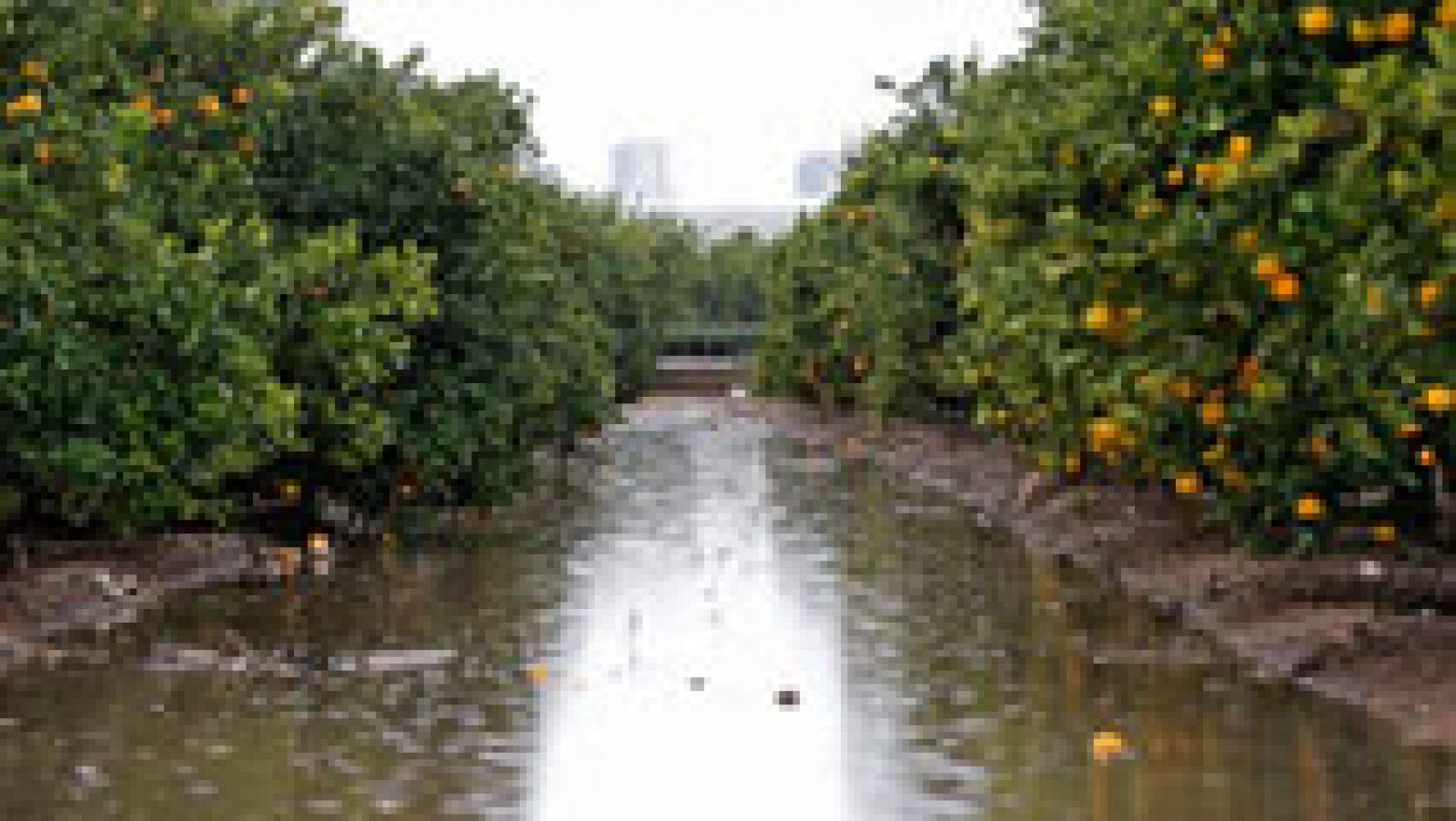 El tiempo: Lluvias en la isla de La Palma, Extremadura y en Castilla La-Mancha | RTVE Play