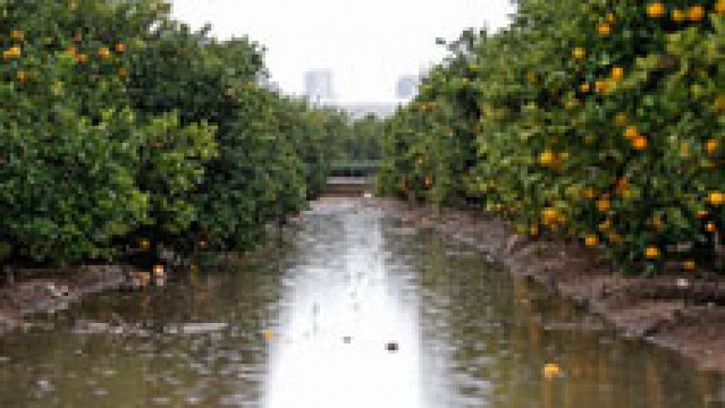 Lluvias en la isla de La Palma, Extremadura y en Castilla La-Mancha