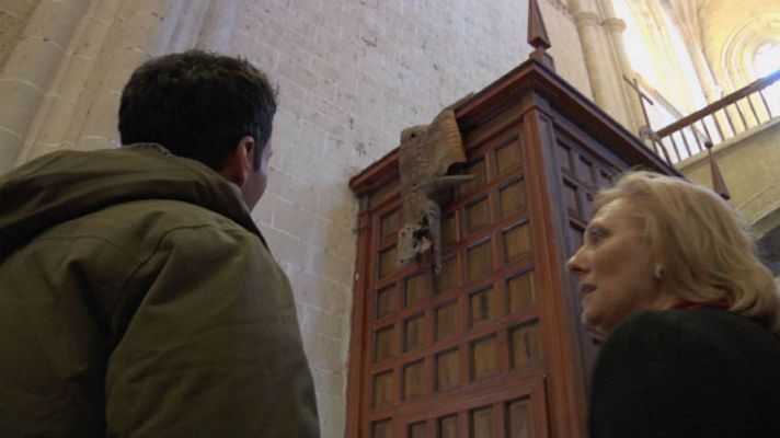 Aquí la Tierra - Ciudad de almirantes, cocodrilos y caminantes