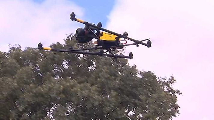 Agrosfera - Agrosfera - 03/12/16