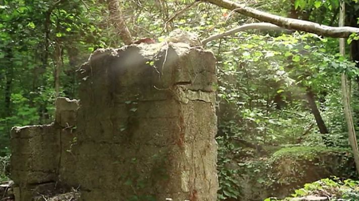 Bosques de la guerra