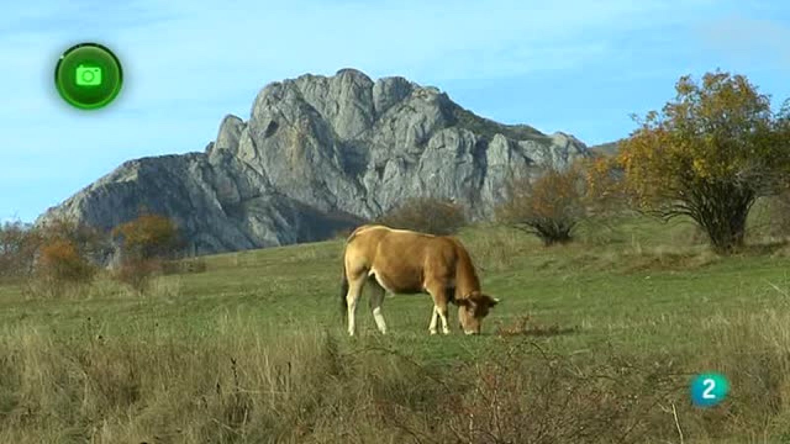 Agrosfera - En clave rural - Cuatro Valles, León