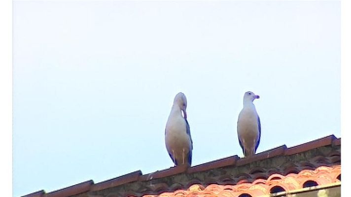 Panorama Regional - El tiempo en Asturias - 05/12/16