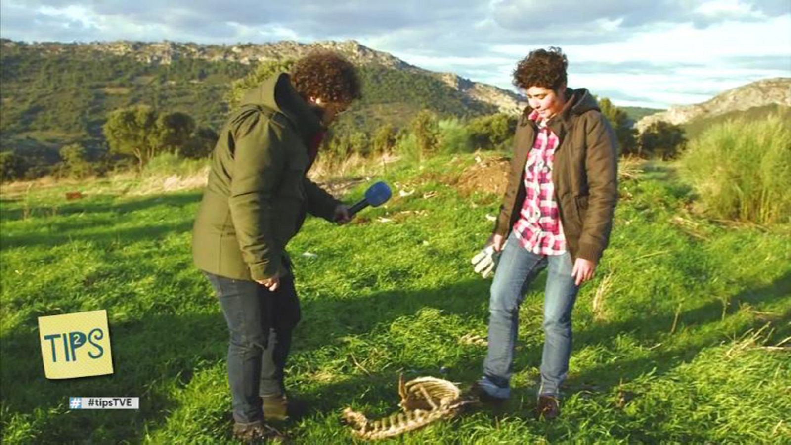 TIPS - Ida y vuelta - Monfragüe