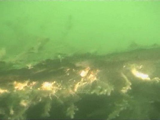  - Reaparece el 'Florence D.'