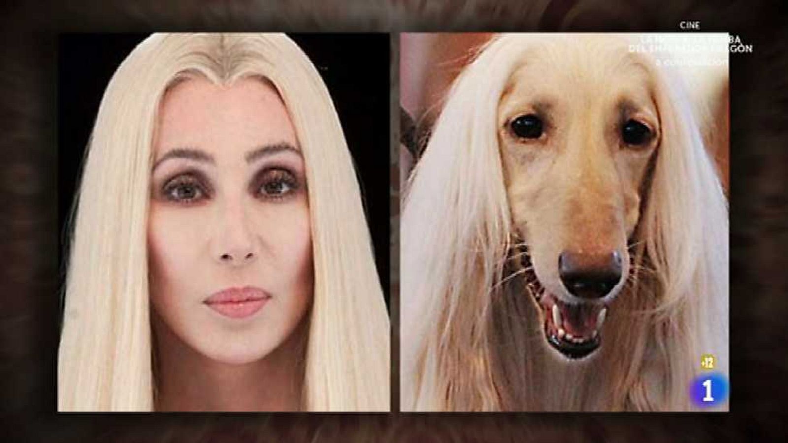 Hora punta - 06/12/16 - ver ahora