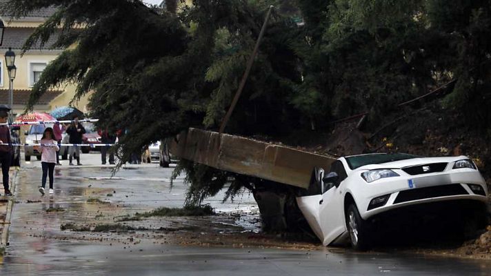 La mañana - La Mañana - 07/12/16