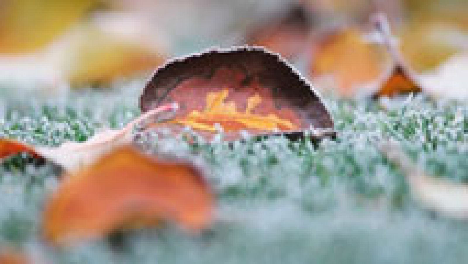 El Tiempo en la Comunidad de Madrid - 07/12/16