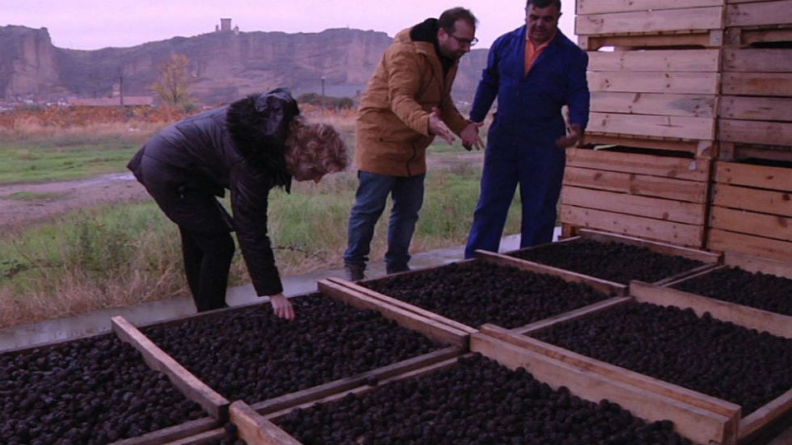 Ciruelas pasas, símbolo de la Navidad