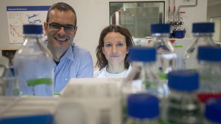 Telediario 1 - La clave para frenar la metástasis podría estar en la grasa